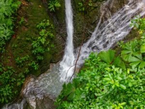 DJI_20240812111051_0242_D