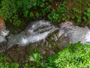 DJI_20240812111114_0243_D