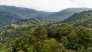 DJI_20250117161854_0367_D