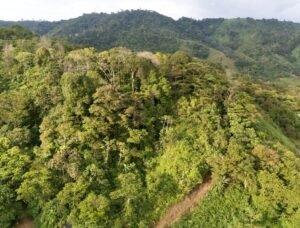 DJI_20250117162121_0371_D