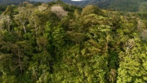 DJI_20250117162147_0373_D