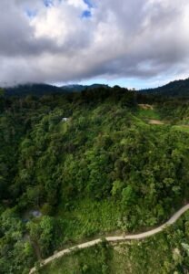 DJI_20250117162805_0378_D