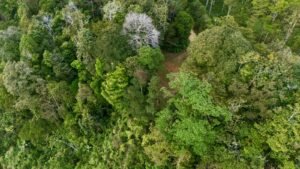 DJI_20250117163413_0386_D