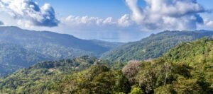 DJI_20250119082801_0397_D