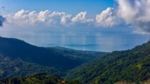 DJI_20250119082814_0398_D