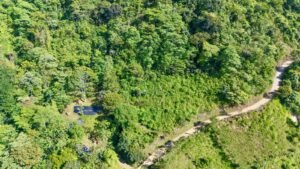 DJI_20250119084534_0409_D