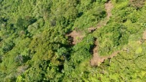 DJI_20250119084814_0415_D