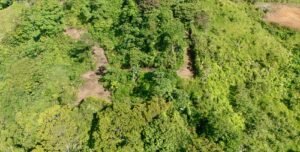 DJI_20250119084826_0416_D