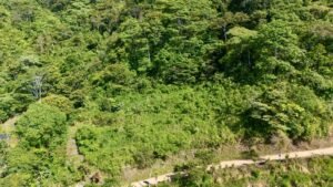 DJI_20250119085014_0421_D