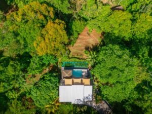 DJI_20250515093524_0170_D