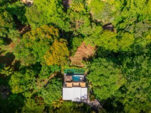 DJI_20250515093546_0171_D