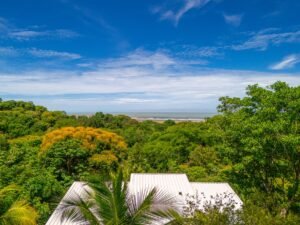 DJI_20250515093922_0173_D