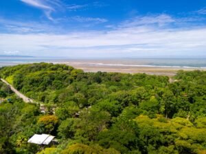 DJI_20250515094102_0175_D