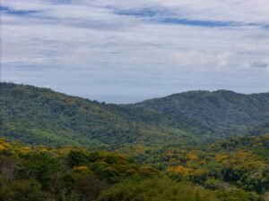 DJI_20250515123641_0372_D_AIR3