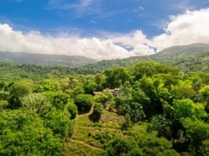 DJI_20250518094148_0312_D