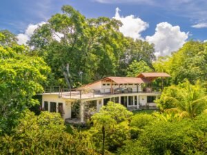 DJI_20250518094249_0313_D