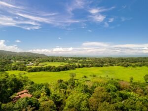 DJI_20250518094513_0315_D