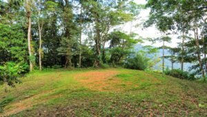 Foto 14-1-25, 2 53 35 a m