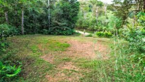 Foto 14-1-25, 2 55 01 a m