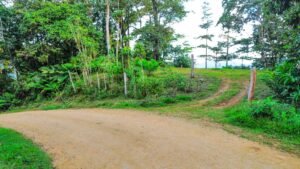 Foto 14-1-25, 3 05 22 a m