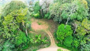 Foto 14-1-25, 3 10 39 a m