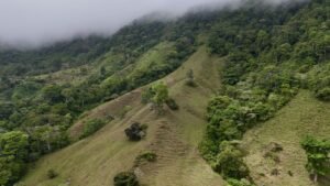 Foto 18-2-25, 12 49 15