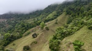 Foto 18-2-25, 12 49 25