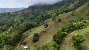 Foto 18-2-25, 12 49 36