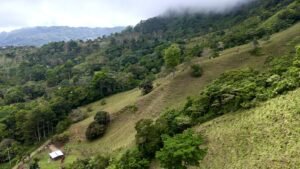 Foto 18-2-25, 12 49 45