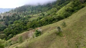 Foto 18-2-25, 12 50 41