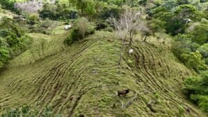 Foto 18-2-25, 12 52 11