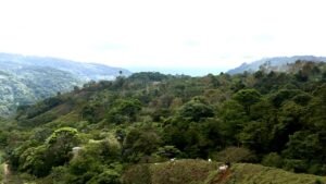 Foto 18-2-25, 12 53 32