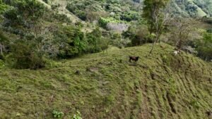 Foto 18-2-25, 12 53 47