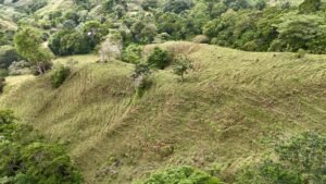 Foto 18-2-25, 12 55 42