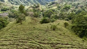 Foto 18-2-25, 12 58 56