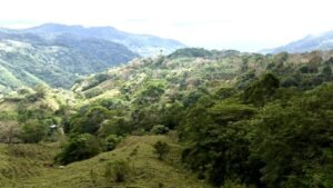 Foto 18-2-25, 12 59 02