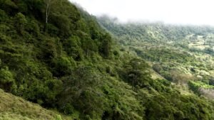 Foto 18-2-25, 12 59 18