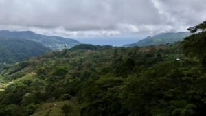 Foto 18-2-25, 12 59 25