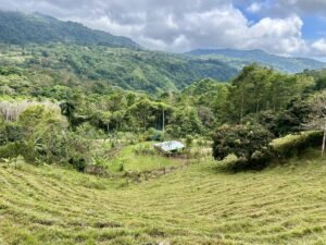 Foto 18-2-25, 13 10 21