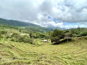 Foto 18-2-25, 13 10 24