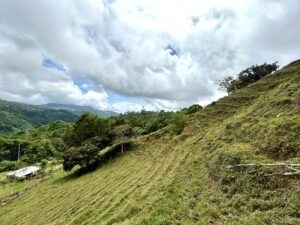 Foto 18-2-25, 13 10 36