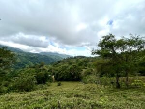 Foto 18-2-25, 13 16 06