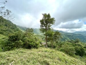 Foto 18-2-25, 13 16 11