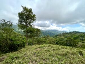 Foto 18-2-25, 13 16 25