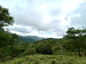 Foto 18-2-25, 13 16 32