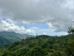 Foto 18-2-25, 13 16 36