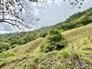 Foto 18-2-25, 13 17 27