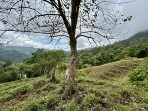 Foto 18-2-25, 13 17 32