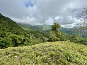 Foto 18-2-25, 13 18 01