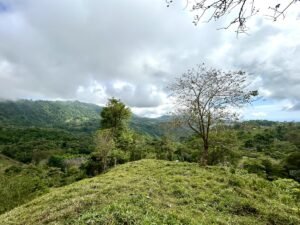 Foto 18-2-25, 13 18 06